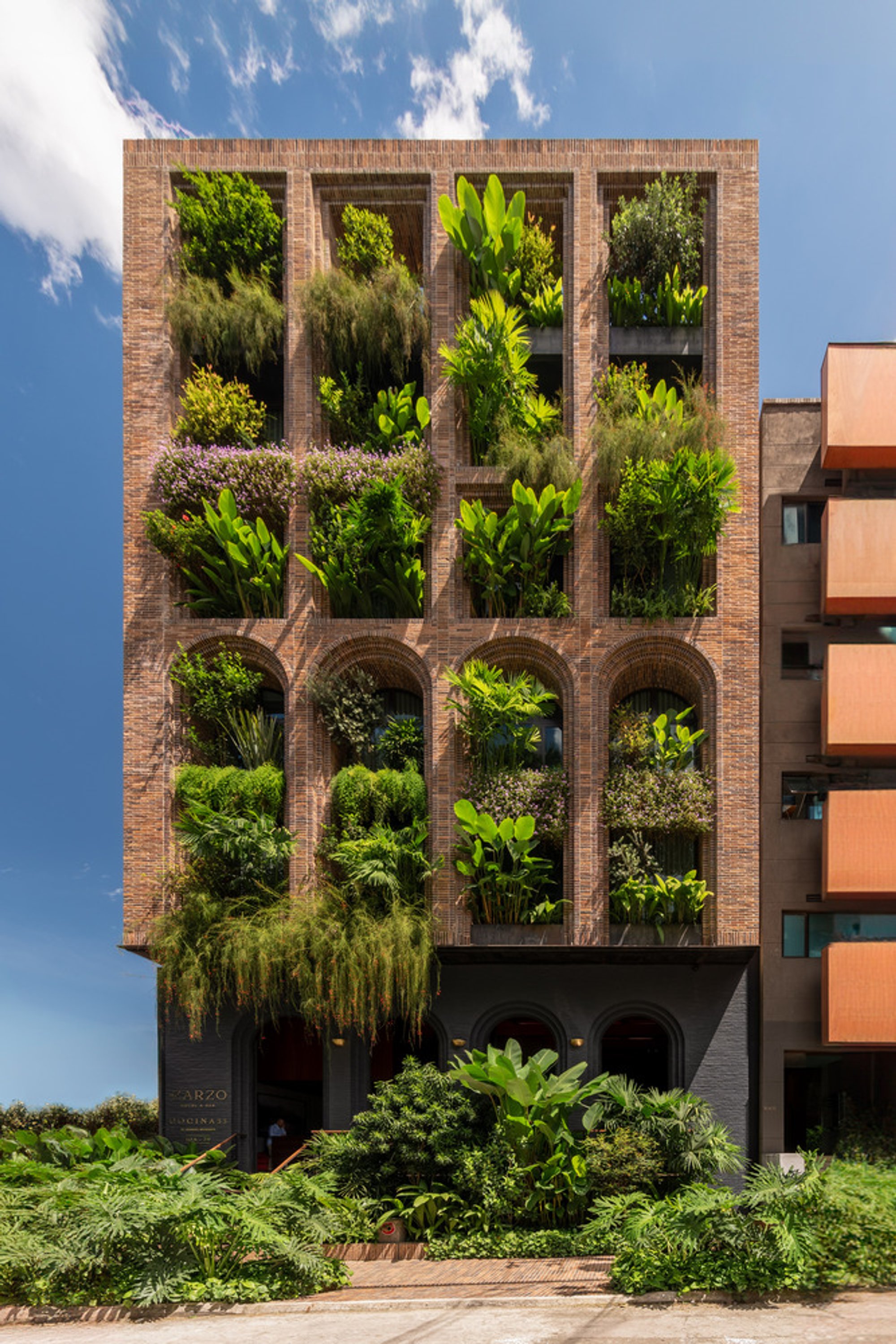 Hotel El Zarzo: A Boutique Oasis in Medellín’s Provenza District