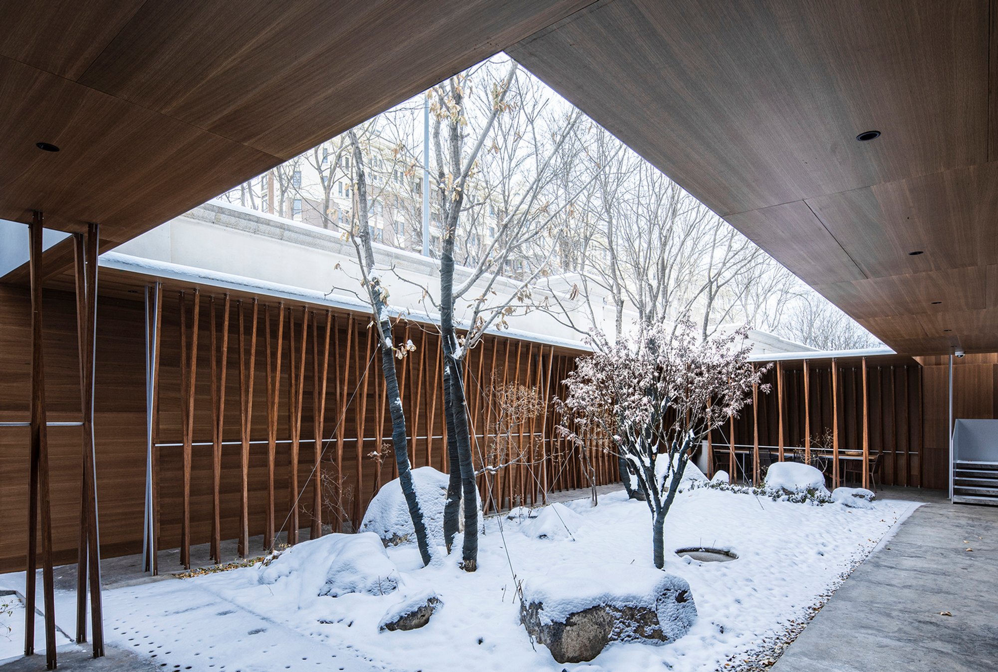 Gardenful: A Semi-Indoor Urban Sanctuary Blending Geometry and Wild Nature