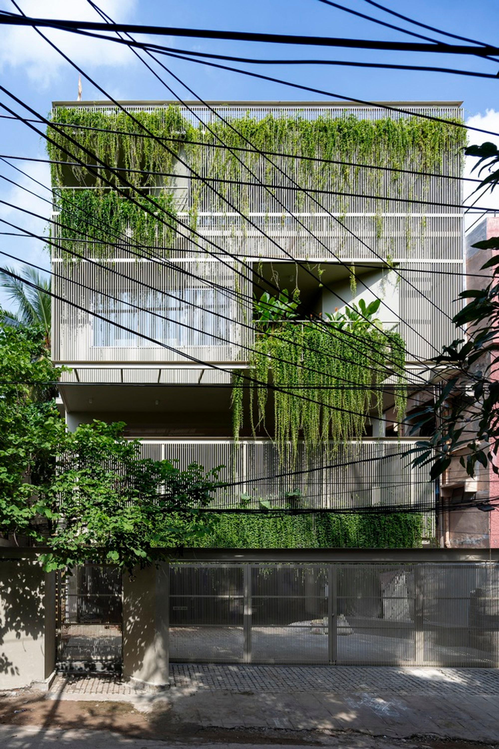 More House by Spacefiction Studio: A Living Symphony of Nature, Light, and Architecture