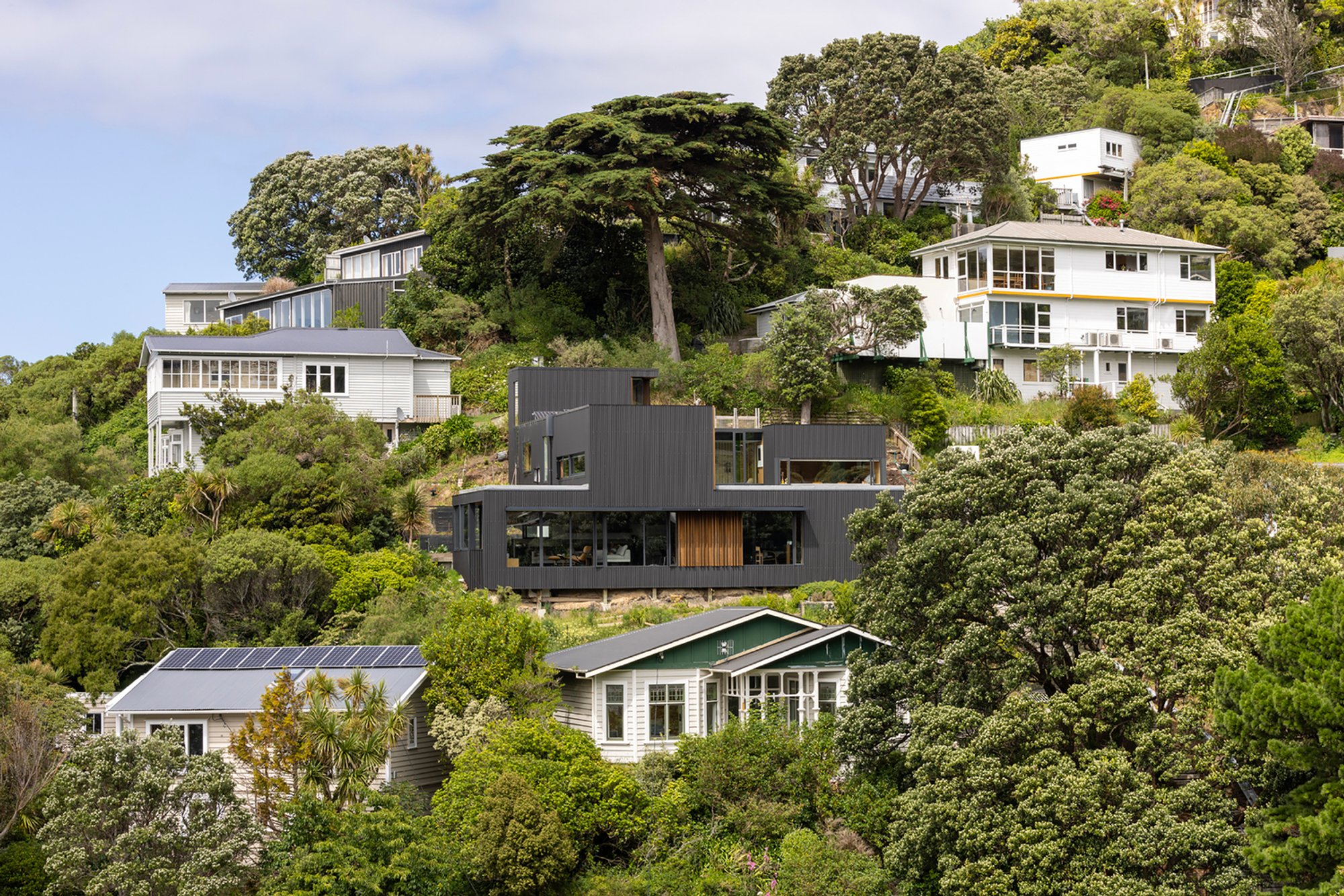 Sar Street House – Contemporary Timber Home by Parsonson Architects in Wellington, New Zealand