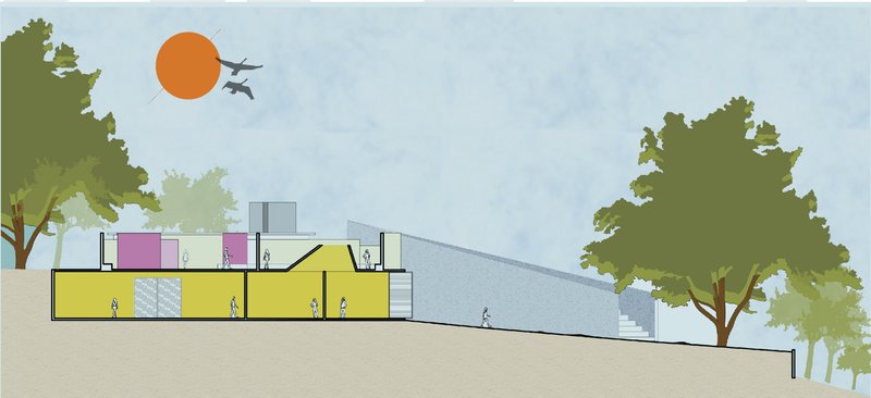 Sectional relationship revealing fluid galleries embedded within the sloping landscape.