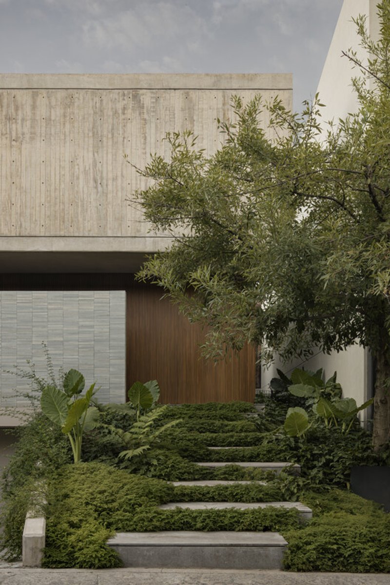 Entrance pathway with concrete stepping stones set into moss groundcover beneath olive trees