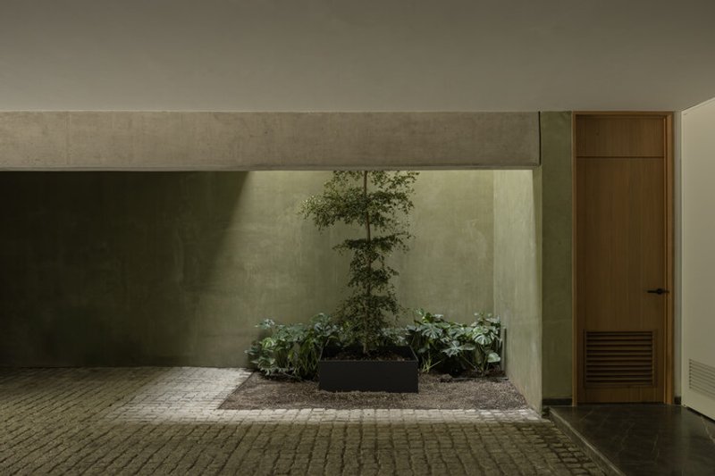 Interior planting alcove with a single tree and shrubs beneath a concrete beam in low light