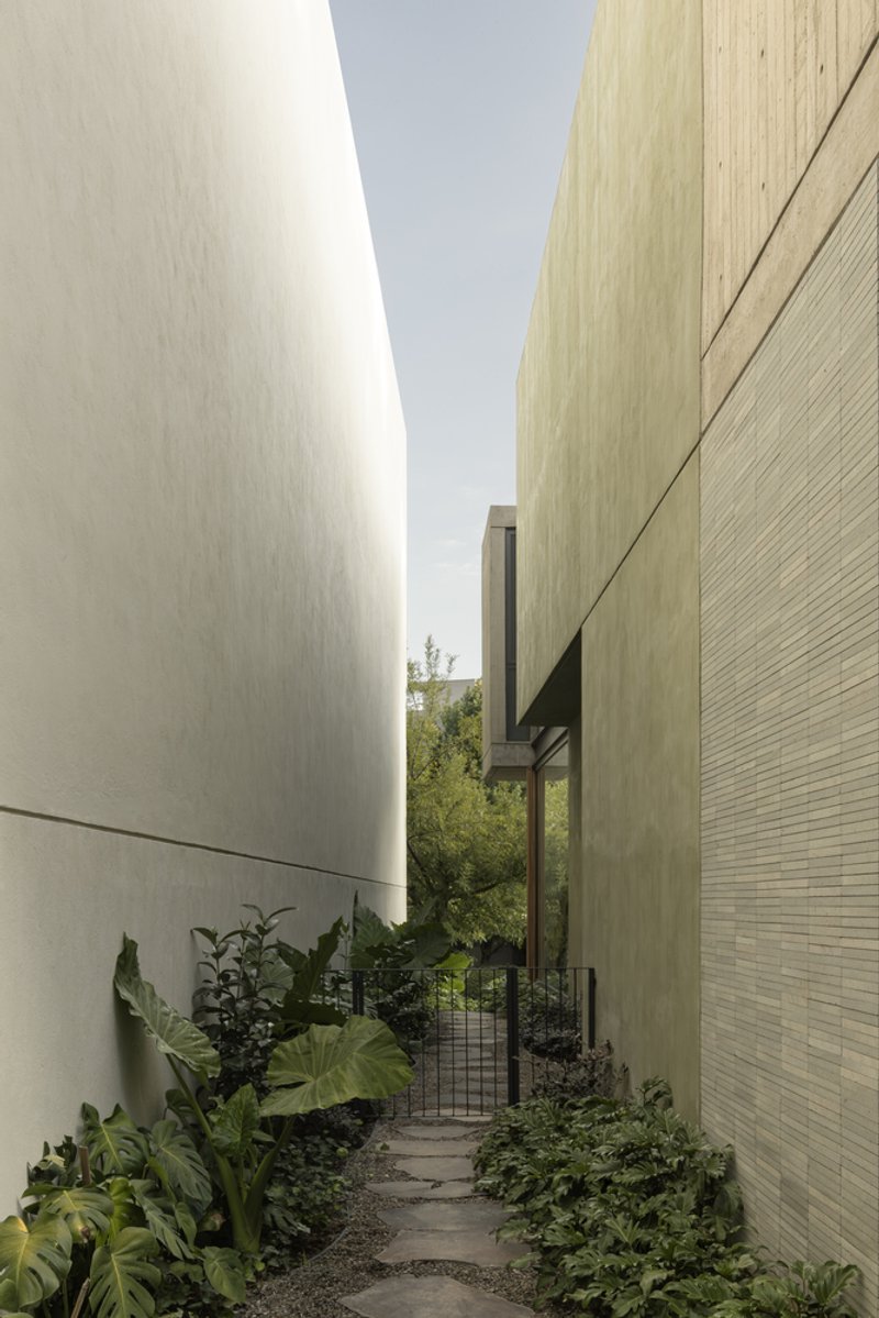 Narrow side passage between white and beige textured walls lined with tropical plantings