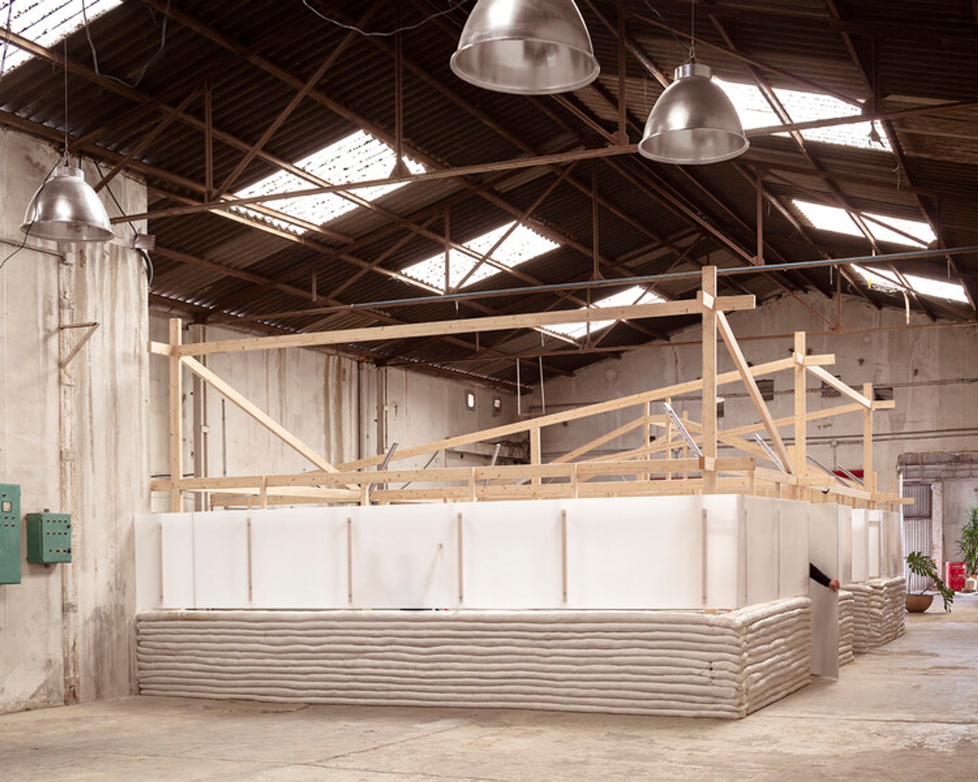 Baby Pluto by Adrià Garrido Verdú