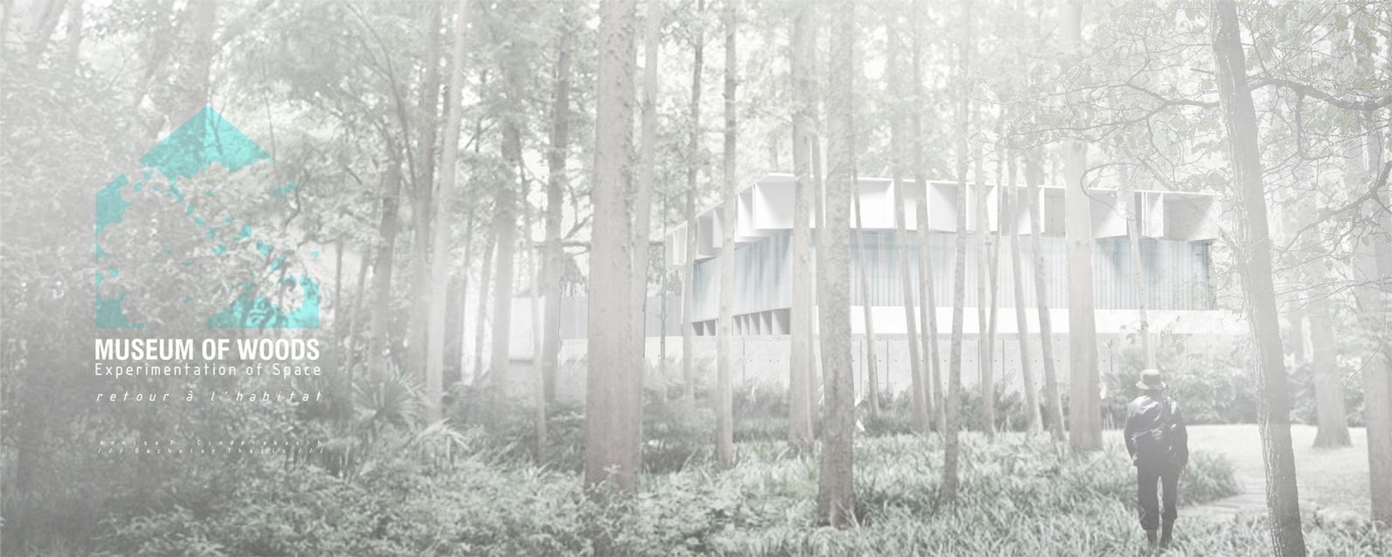 MUSEUM OF WOODS: Sustainable Architecture as a Living Archive of Forest Memory