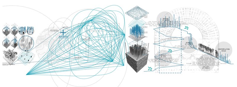 Conceptual network mapping forest memory into a spatial narrative of movement and perception.
