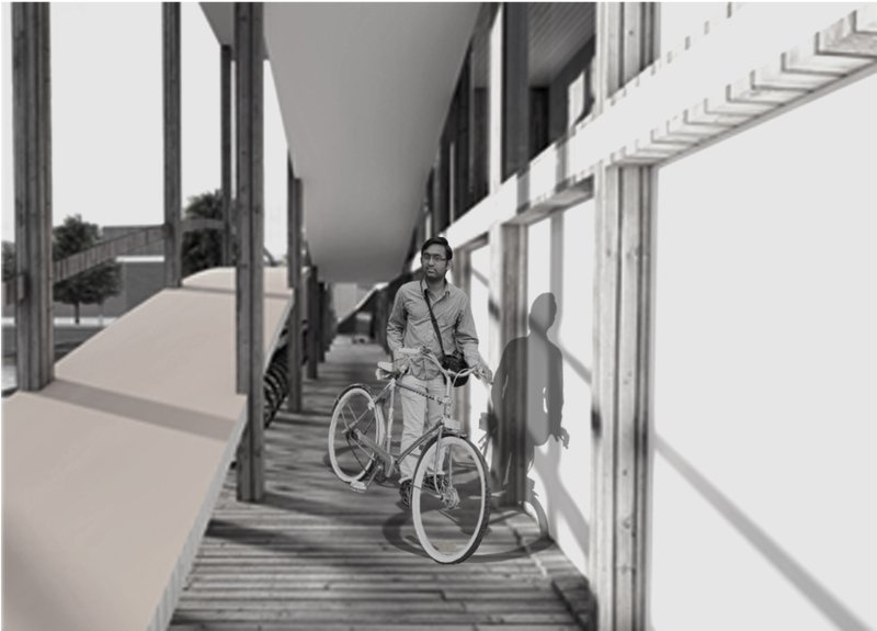Layered circulation creates immersive pedestrian and cyclist experiences within the bridge’s architectural form.
