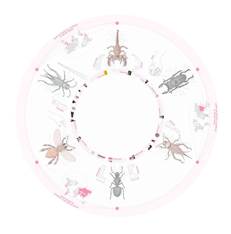 Circular diagram showing six insect species arranged radially with connecting paths and small human figures