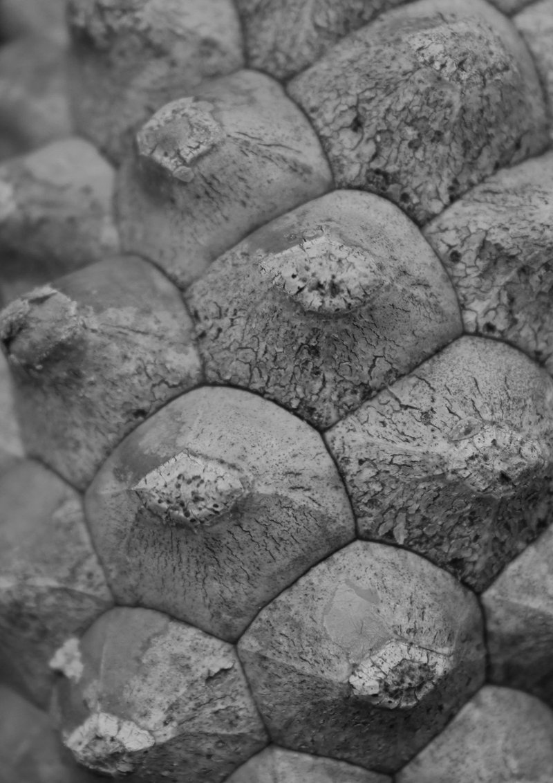 Close-up of material aggregation, revealing cellular logic and surface deformation through environmental interaction.