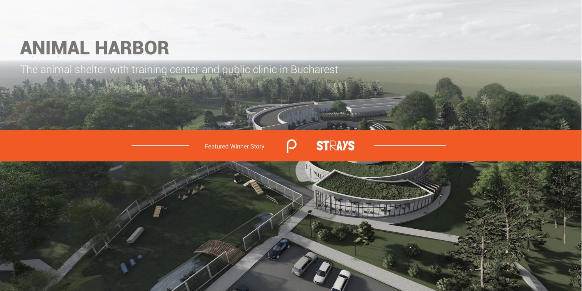 Rebuilding Forests in Ethiopia.