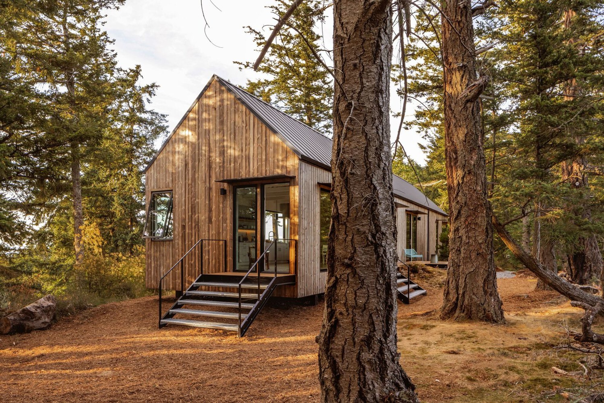 Orcas House by Allied8: A Sustainable Forest Retreat in the Pacific Northwest