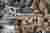Sistemazione Spazio Pubblico Via Cademario: A Contemporary Reorganization of Public Space in Bioggio by Enrico Sassi Architetto