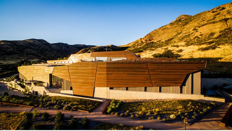 Public forecourt activating the museum edge with landscape, movement, and social interaction.