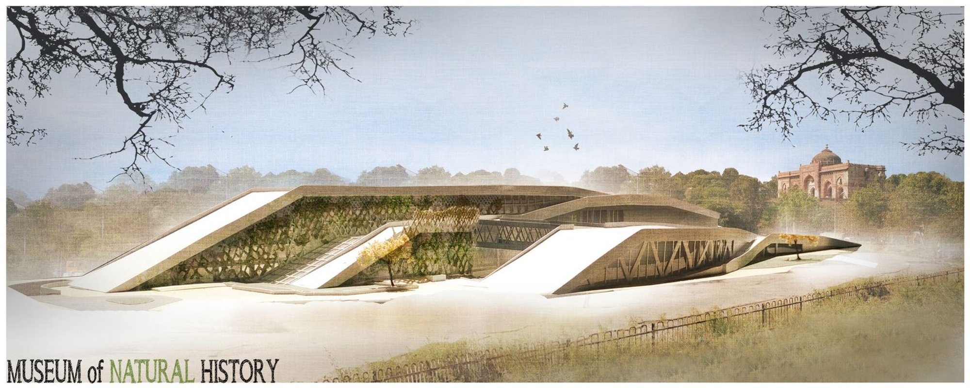 Natural History Museum Architecture