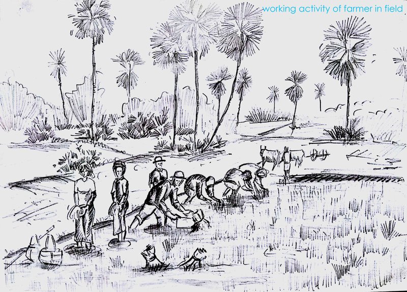 Daily agricultural practices shaping the rural landscape and sustaining local livelihoods.