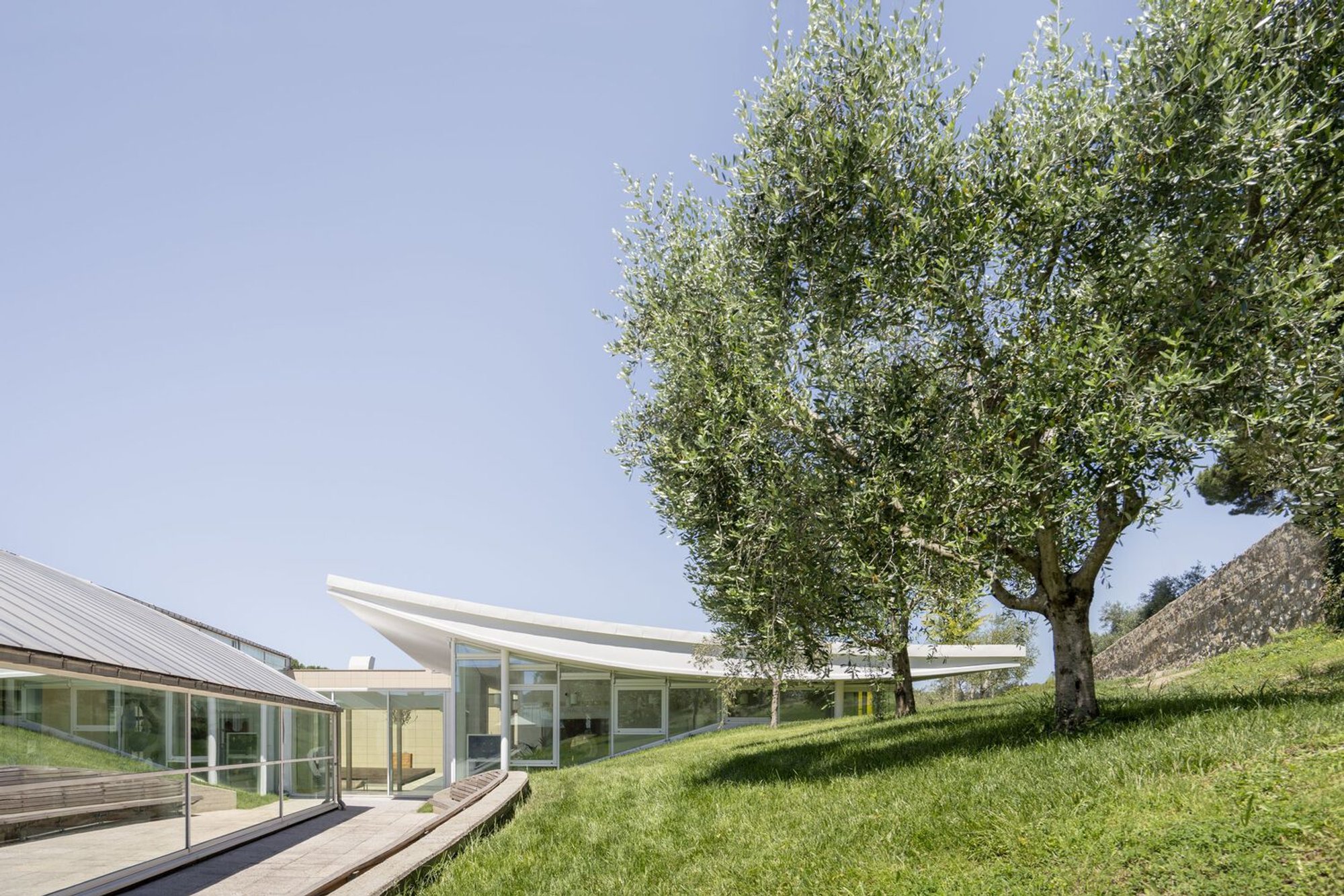 ABF Maria Manetti Shrem Educational Center by Alvisi Kirimoto + Partners – A Nature-Integrated Learning Pavilion for Pediatric Care