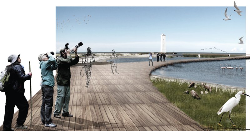 Observation walkway near Cristóvão Pereira Lighthouse, framing bird migration routes and protected lagoon habitats.