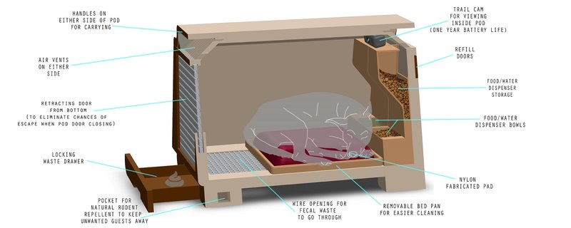 Illustrated workflow showing animal entry, detection, and secure enclosure.