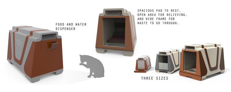 Stray animals occupying unsafe residual urban spaces without shelter.