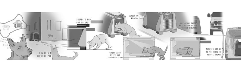 Global and regional statistics highlighting the scale of stray animal populations.