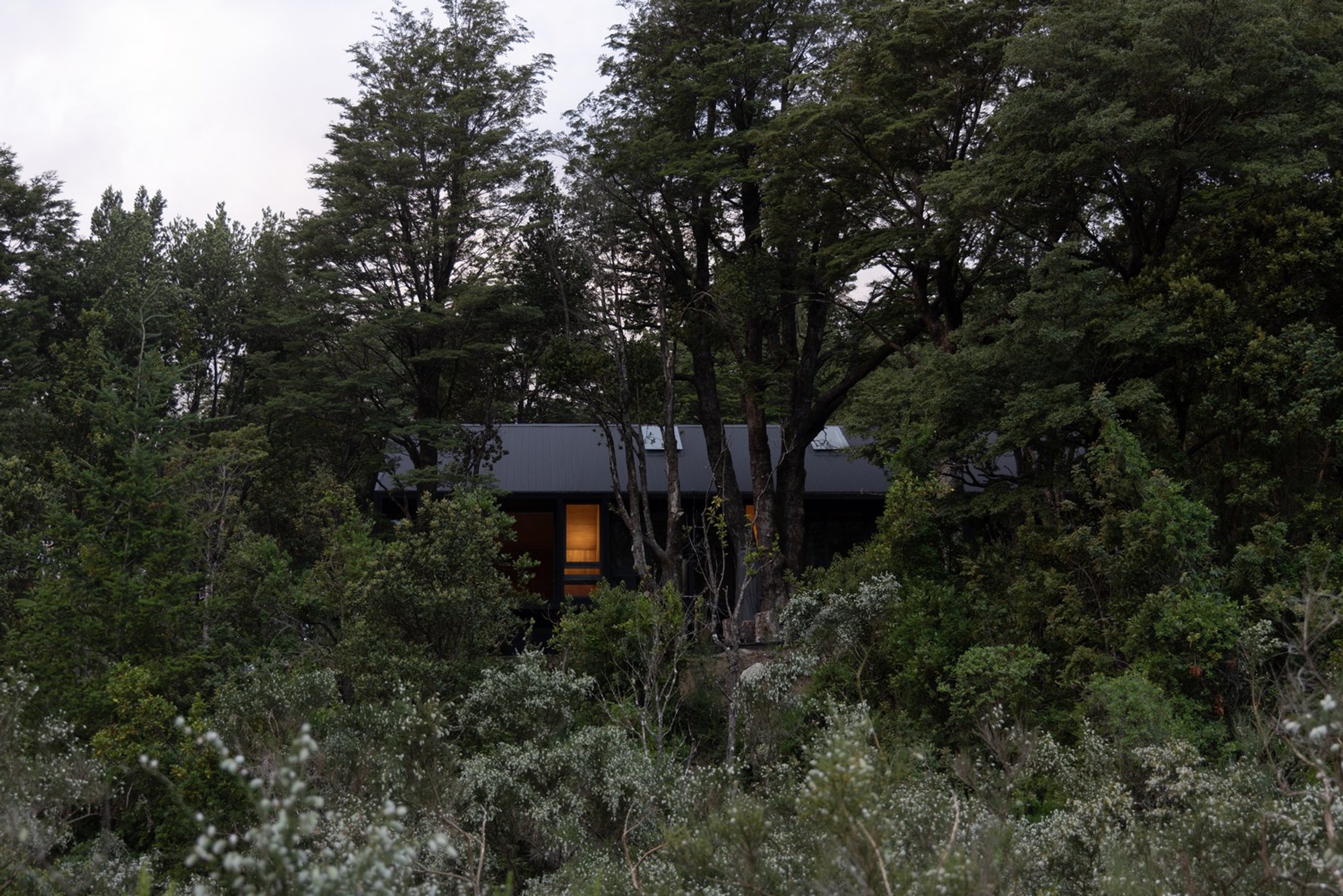 KW House by Eugenio Simonetti: Immersive Forest Living in Southern Chile