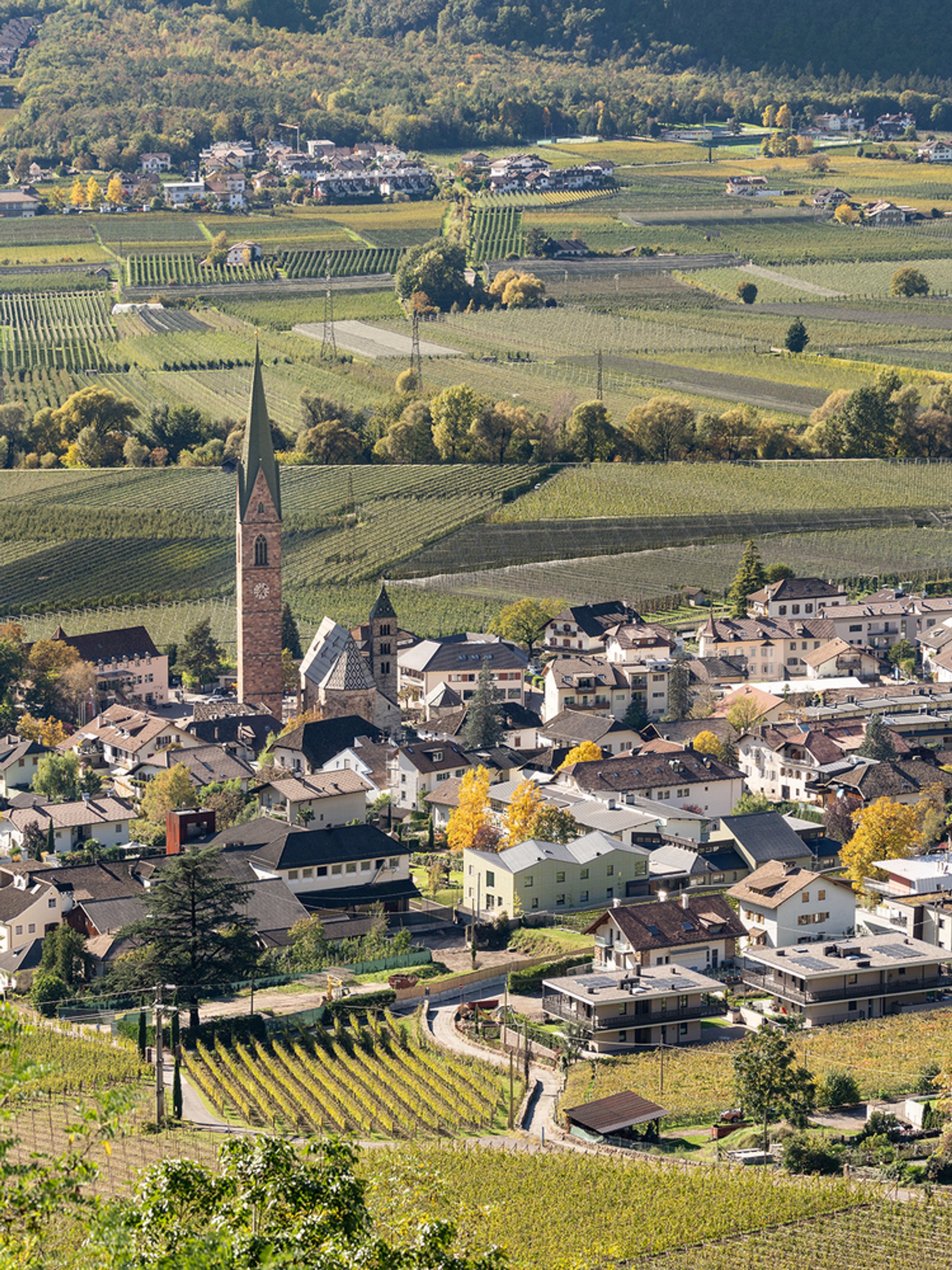 Tartan School by MoDusArchitects: A Harmonious Educational Extension in Terlano, Italy