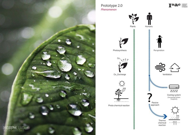 Biomimetic inspiration drawn from natural transpiration and fluid-based cooling systems.