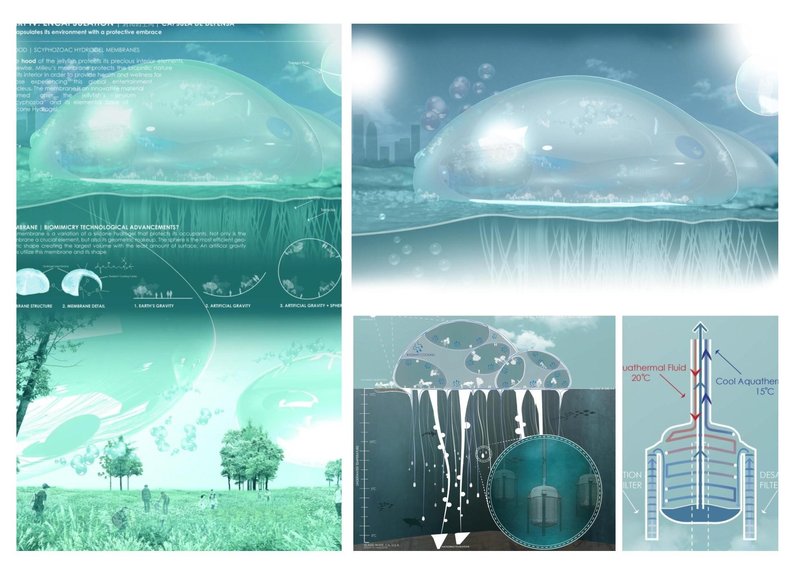 Team212019 12 4T18 02 000003+(2)