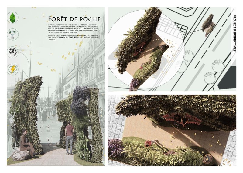 Team212019 12 12T13 41 000009