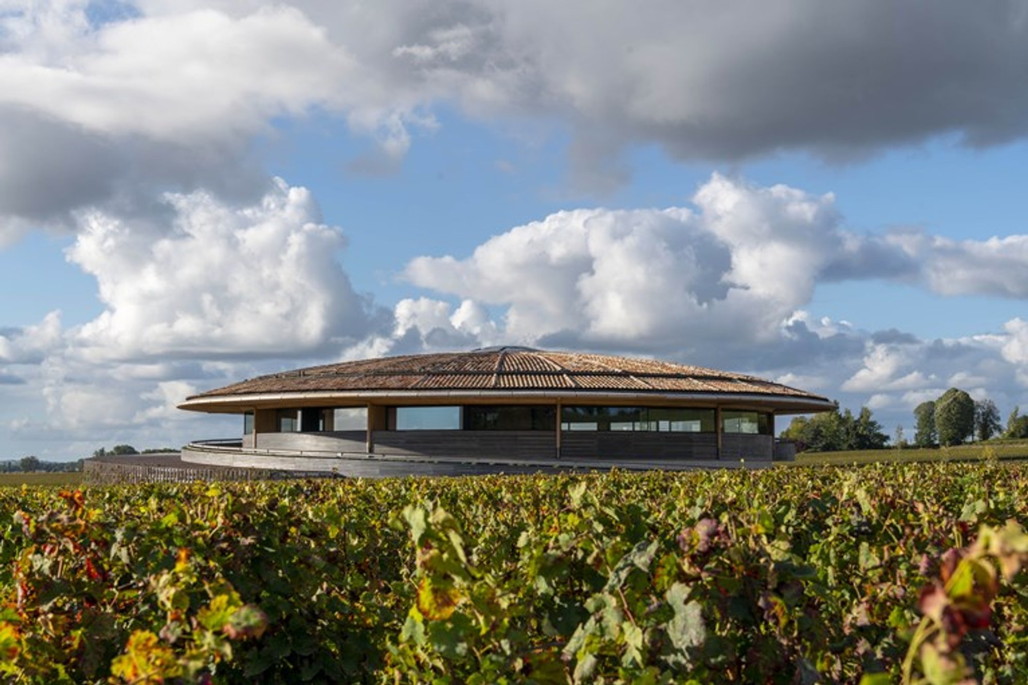 An architectural masterpiece, Le Dôme Winery by Foster + Partners, opens its doors to the public