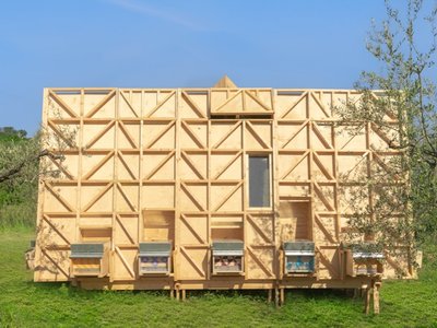 Experience Buzz-worthy Sleepovers with Over 1 Million Bees at Southern Italy's Air 'Bee&Bee