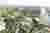 BIG's Solar Cupola Wins Competition for Sustainable JRC Site in Seville, Spain