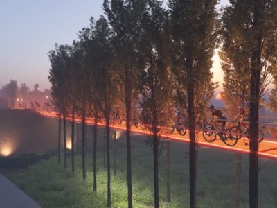 Experience Thrilling Heights with Treetop Biking Adventure