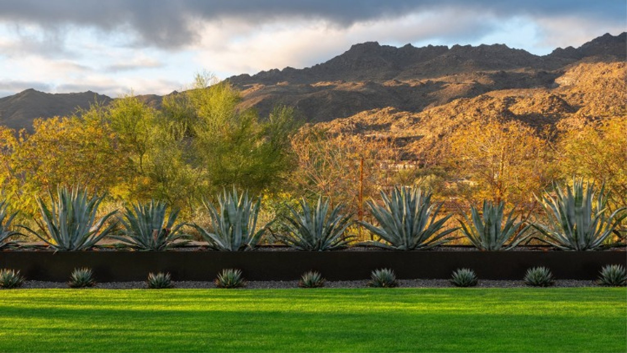 Mount San Jacinto's Base Transformed by Groundwork's Landscape Design.
