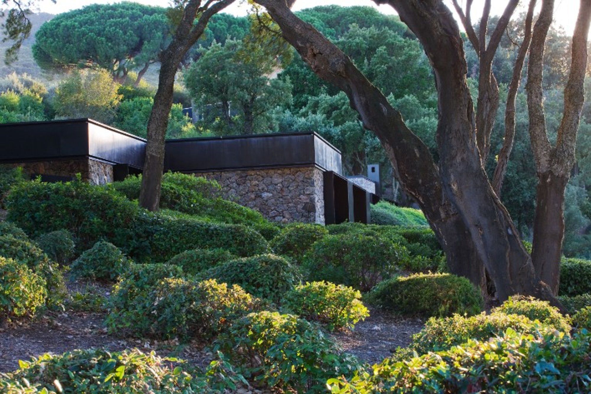 Announcing the 2022 Dedalo Minosse International Prize Winners