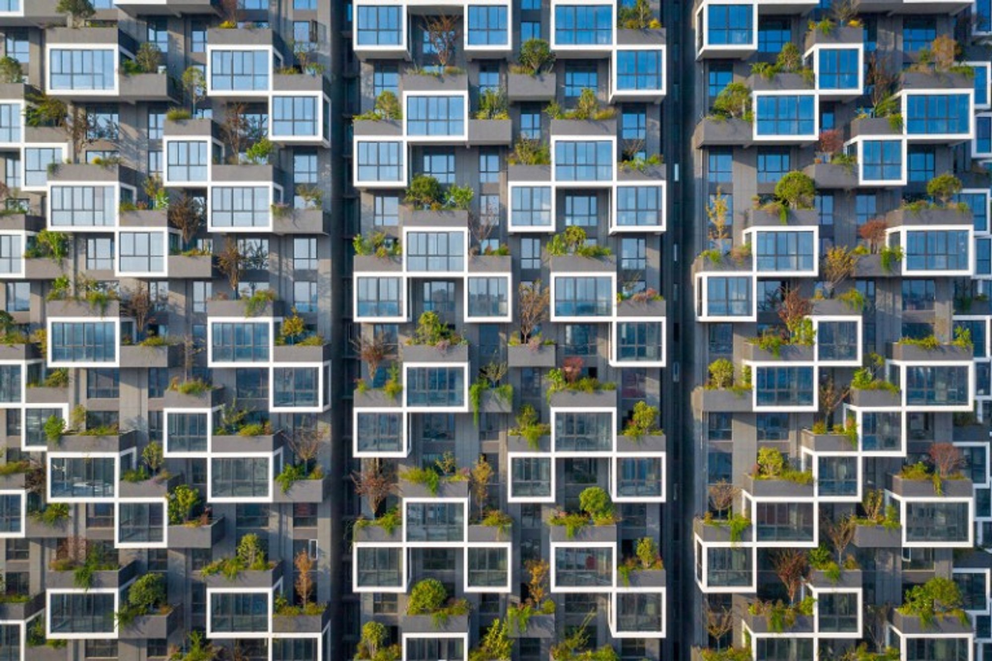 Green Living: Experience Sustainable Luxury in China's First Vertical Forest by Stefano Boeri Architetti