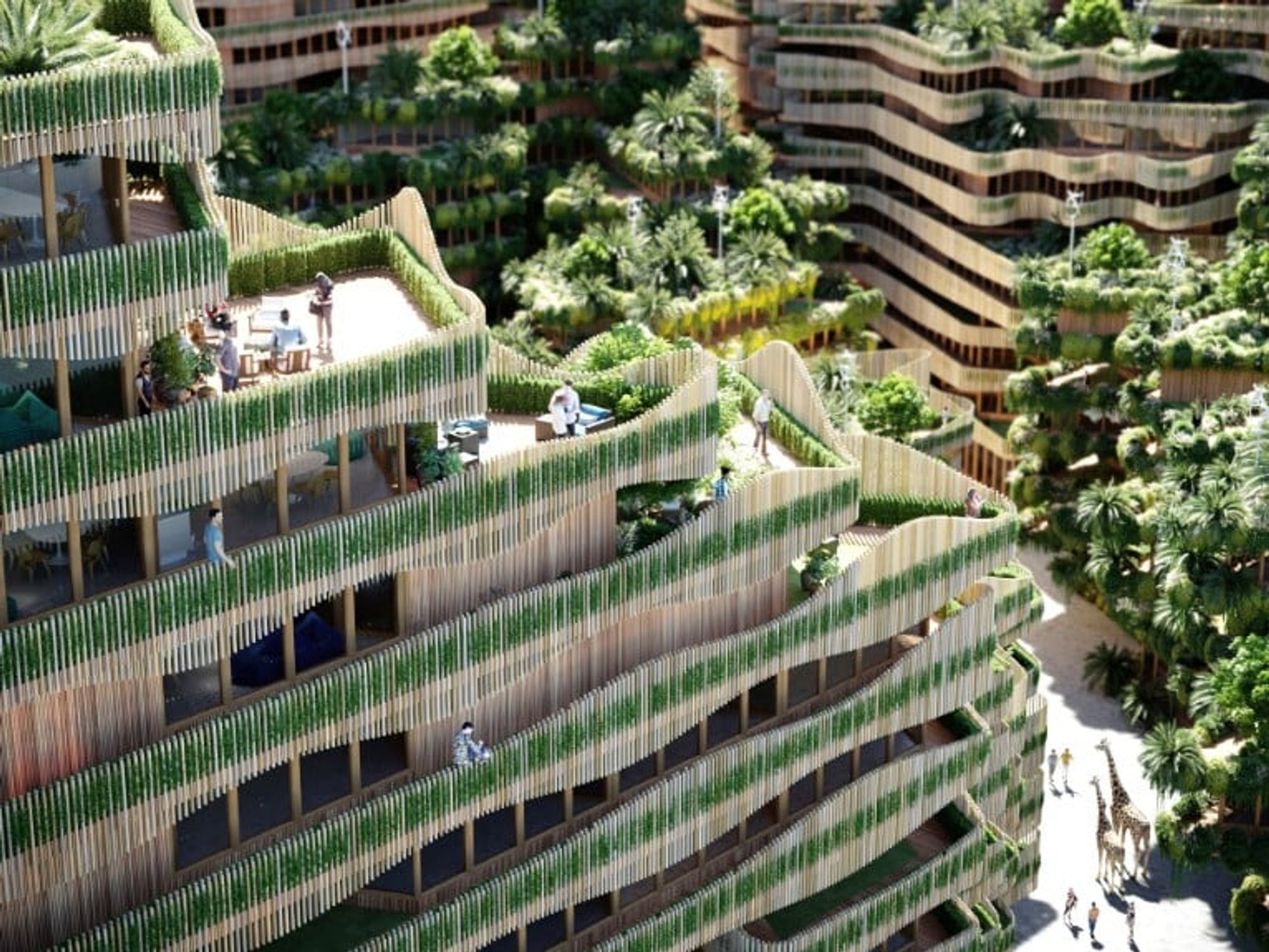 Unleash Your Inner Scientist and Explore the Thriving Metropolis of Mitosis!