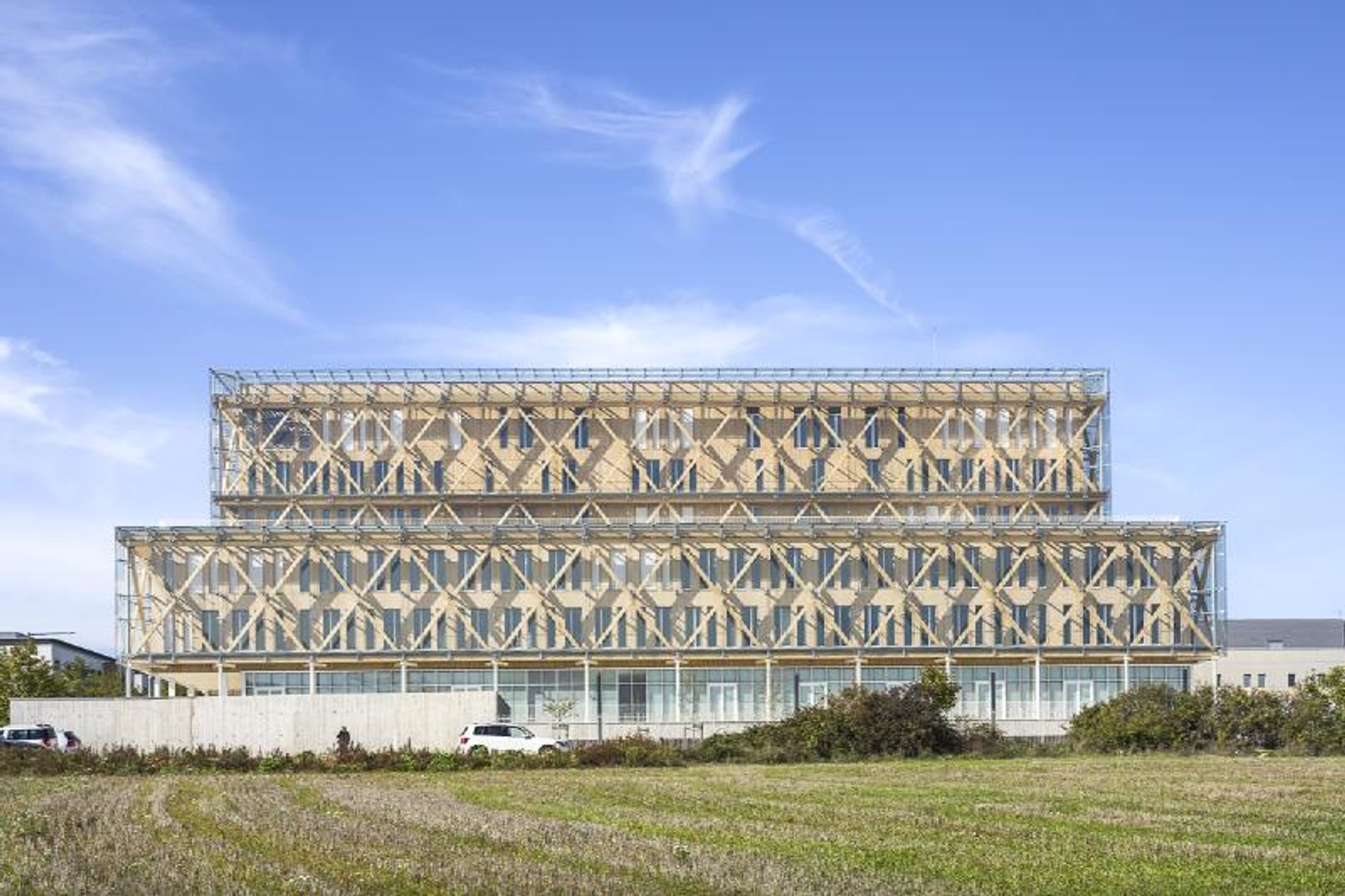 Transforming Rural Communities: The Power of Grassroots Initiatives