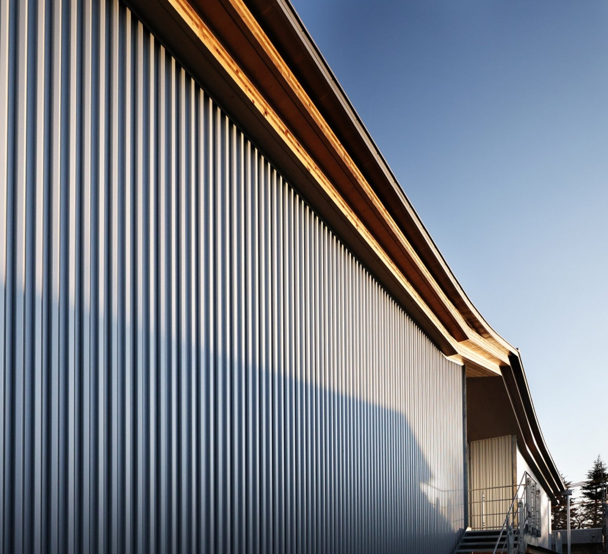 Showa Gakuin Elementary School West Wing: A Sustainable and Innovative Educational Facility