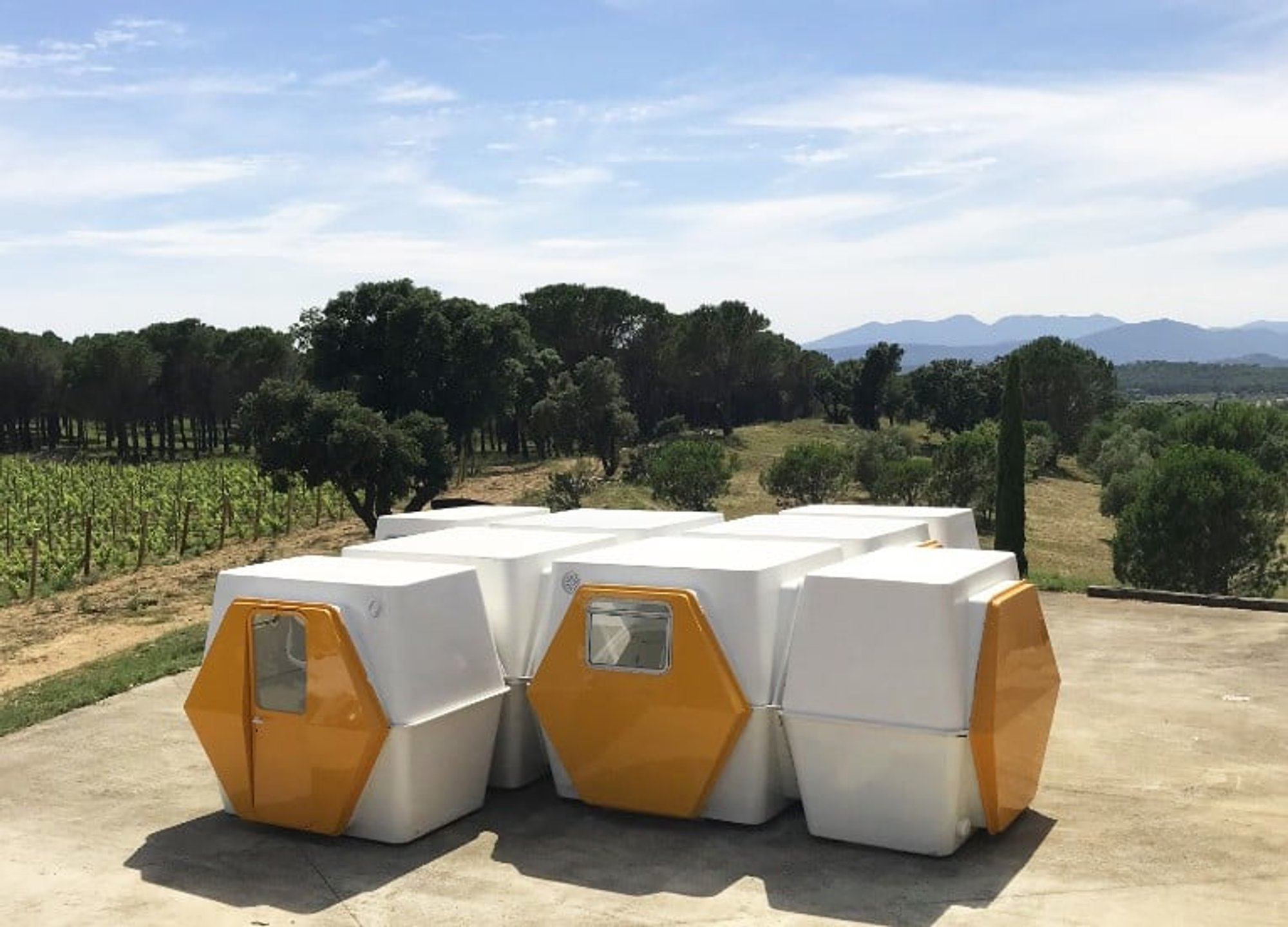 Step Inside the Most Breathtaking Homes of Artists and Designers: 100 Years, 20 Visionary Interiors Unveiled!