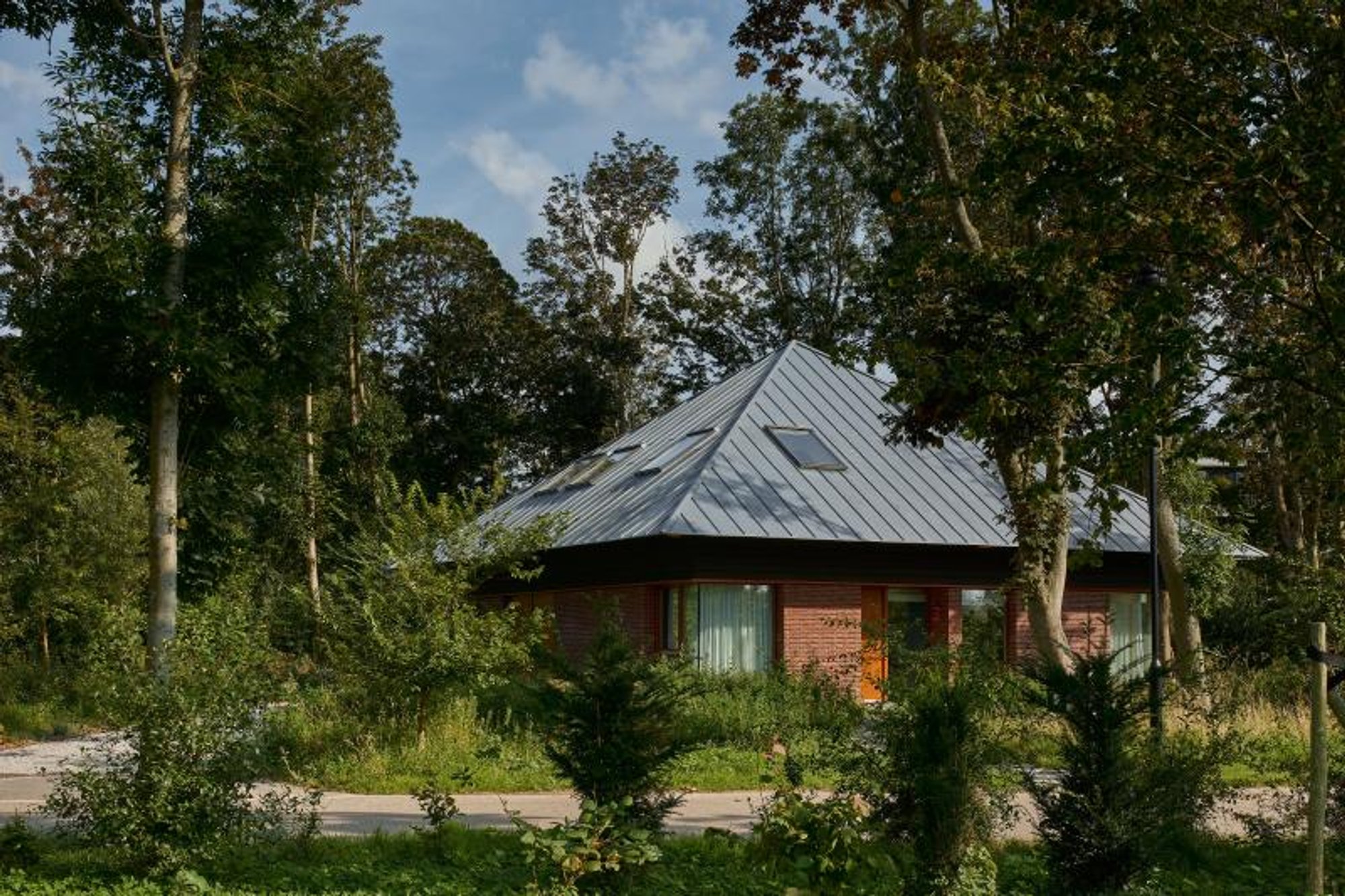 Enchanting Forest Haven: A Majestic Retreat by Kevin Veenhuizen Architects