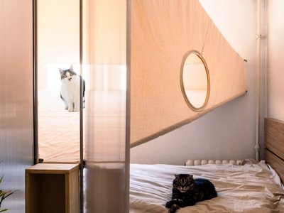Transforming Design Limitations into Creative Solutions: A Stunning Apartment Design with a Cat-Friendly Twist