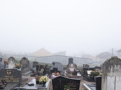 Unleash the Power of Your DNA with GENS CRYPT: The Revolutionary Genetic Code Unlocker!