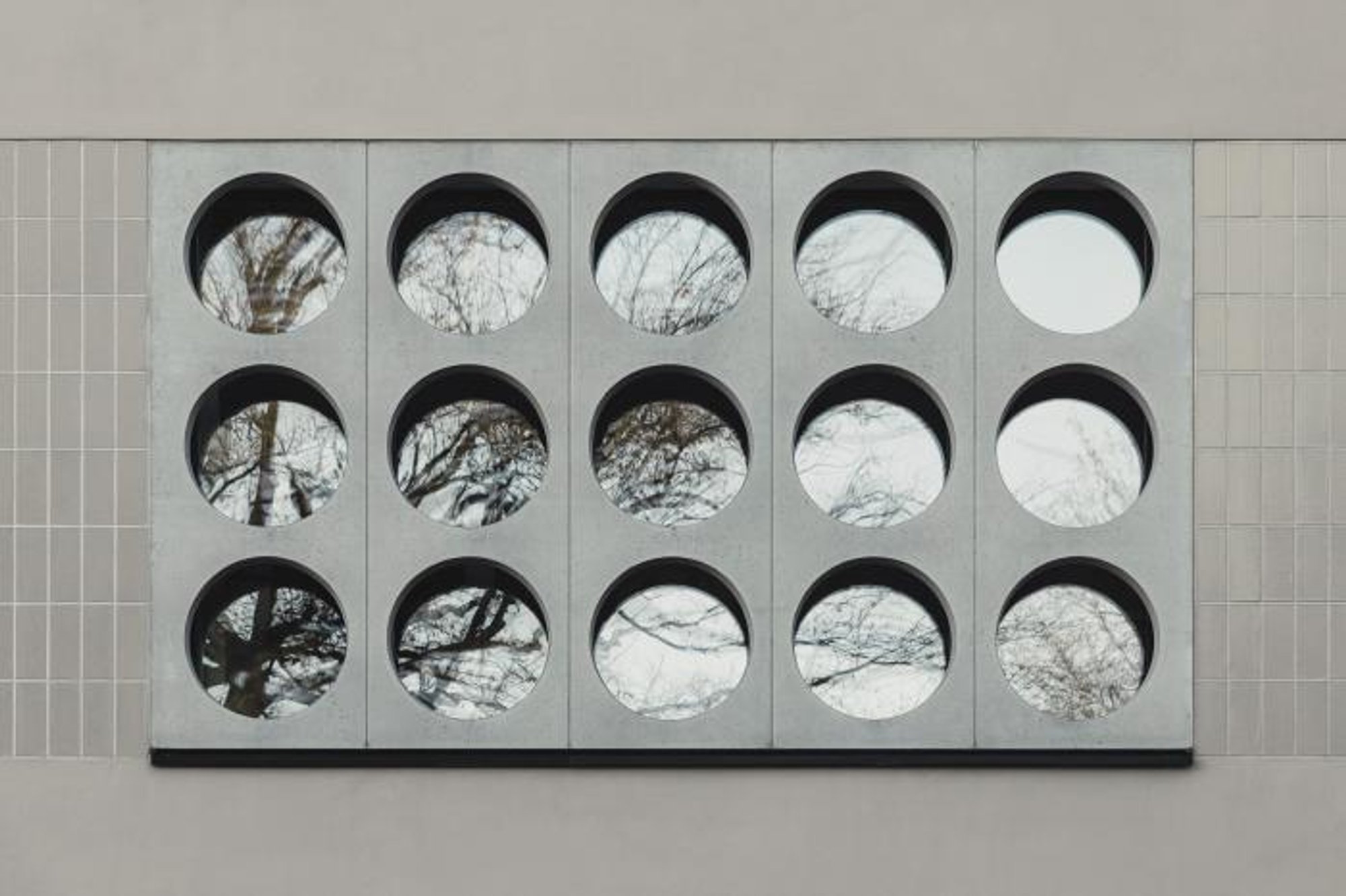 Blending Tradition and Innovation: Lew Tolstoi School Redefines Education