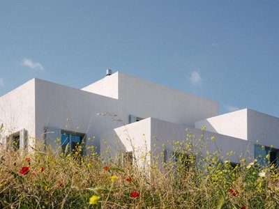 Architectural Marvel Unveiled: Sigurd Larsen's Piperi House!