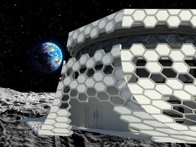 The Mechanical Hive: a Lunar Habitation Project
