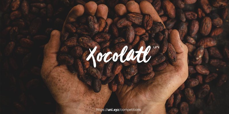 <i>Xocolatl: Designing Experiences Around Chocolate Heritage</i>