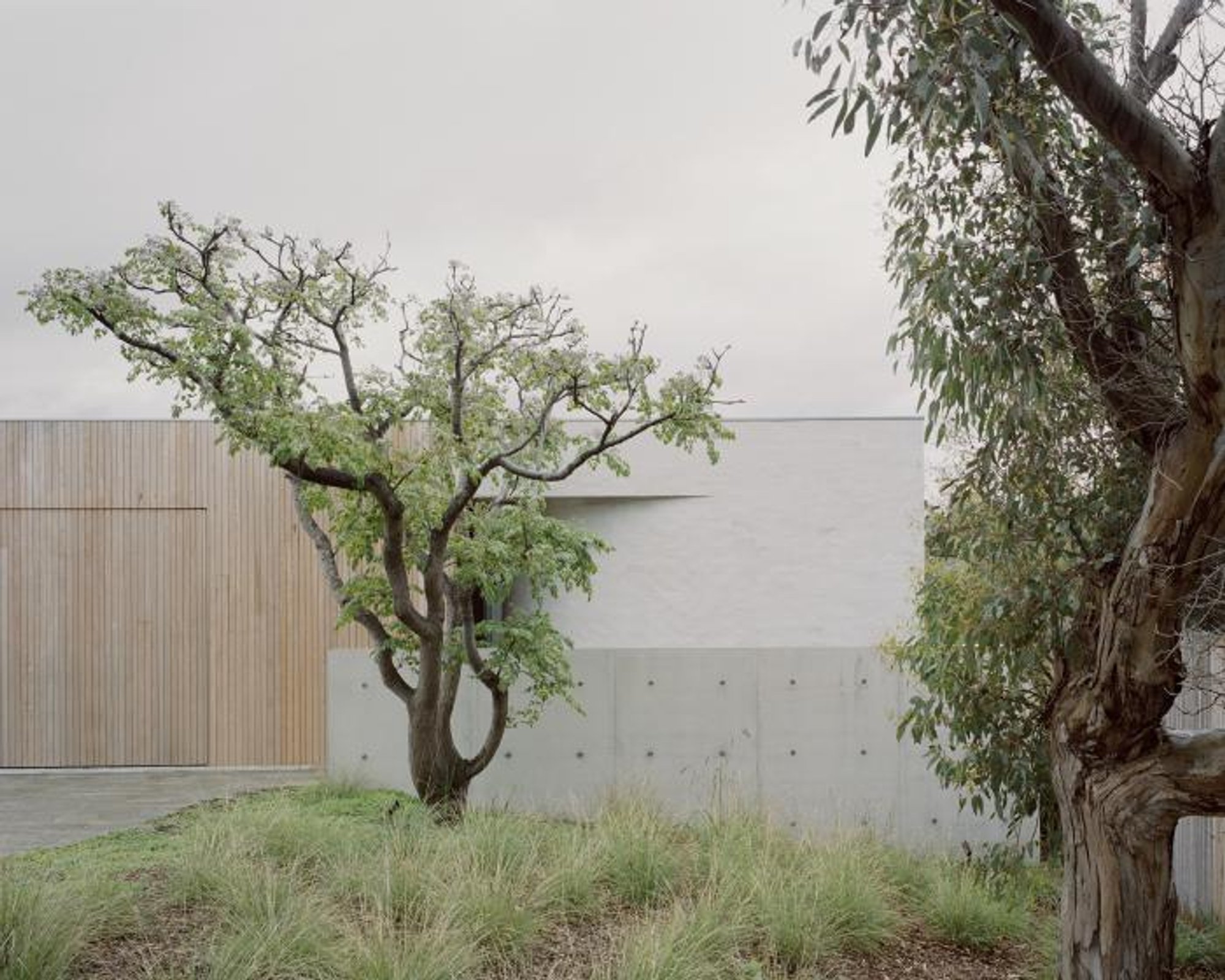 Blairgowrie House: Redefining Contemporary Living in Nature's Embrace