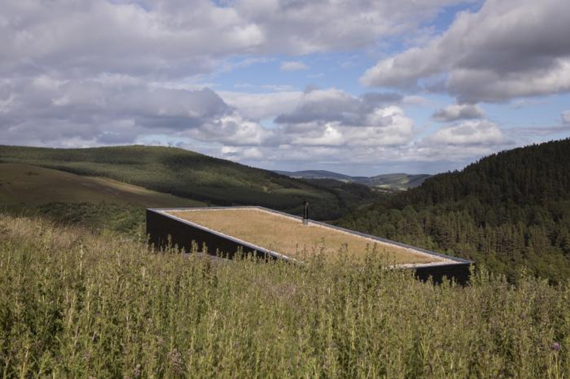 Unveiling BROWN & BROWN's Innovative Spyon Cop Technology